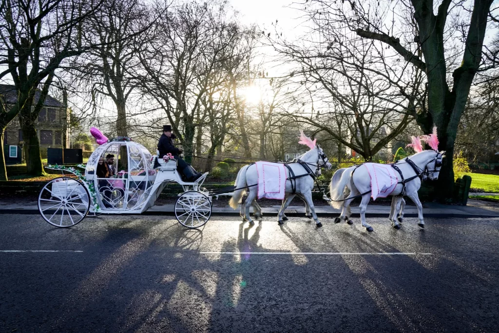 Horse carriage arranged by Asian Funeral Homes, Funeral Director in Leeds